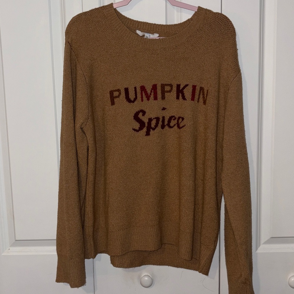 Brand new Pumpkin Spice Sweater in Brown